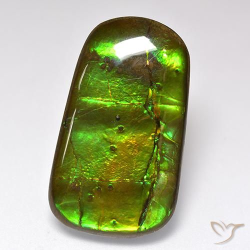 24.17ct طبيعي متعدد الألوان أموليت, فانسى, غير شفاف