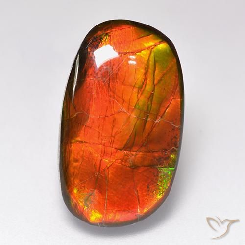 11.88ct طبيعي متعدد الألوان أموليت, فانسى, غير شفاف