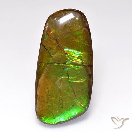 12.44ct طبيعي متعدد الألوان أموليت, فانسى, غير شفاف