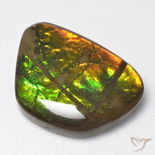 13.40ct طبيعي متعدد الألوان أموليت, فانسى, غير شفاف