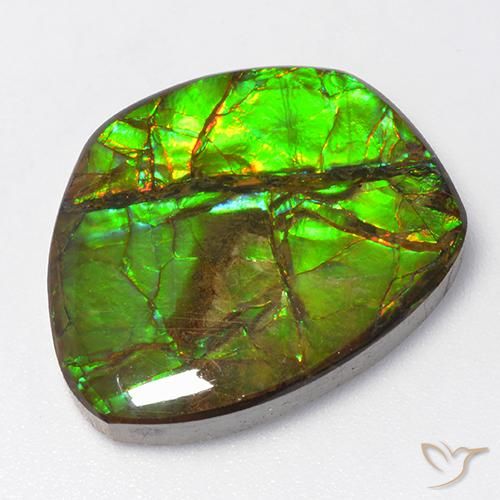 15.50ct طبيعي متعدد الألوان أموليت, فانسى, غير شفاف