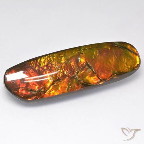 18.52ct طبيعي متعدد الألوان أموليت, فانسى, غير شفاف