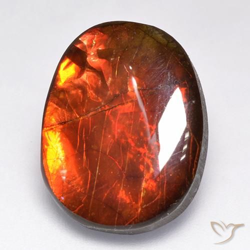 12.19ct طبيعي متعدد الألوان أموليت, فانسى, غير شفاف