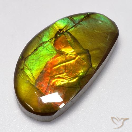 13.86ct طبيعي متعدد الألوان أموليت, فانسى, غير شفاف