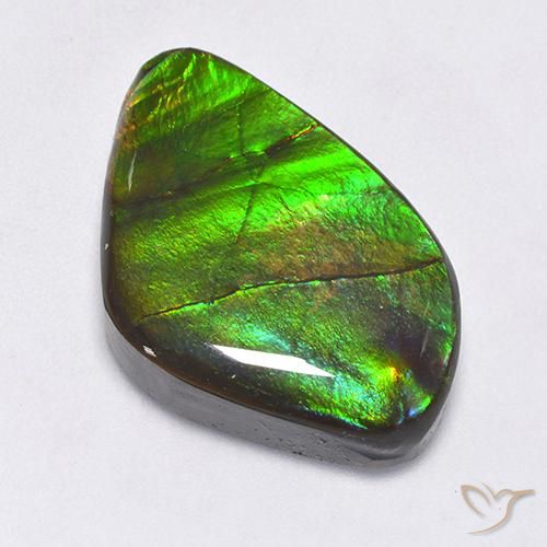 22.30ct طبيعي متعدد الألوان أموليت, فانسى, غير شفاف