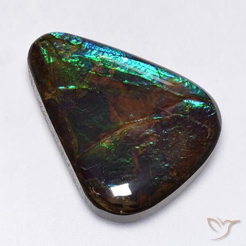 17.25ct طبيعي متعدد الألوان أموليت, فانسى, غير شفاف