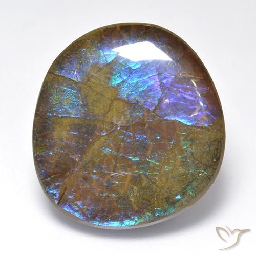 23.02ct طبيعي متعدد الألوان أموليت, فانسى, غير شفاف