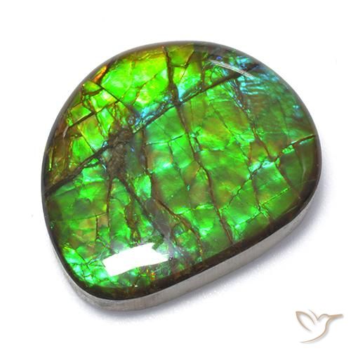 18.62ct طبيعي متعدد الألوان أموليت, فانسى, غير شفاف