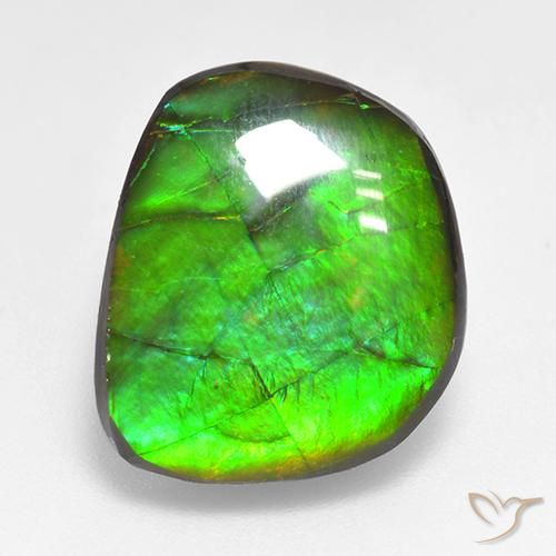 10.59ct طبيعي متعدد الألوان أموليت, فانسى, غير شفاف