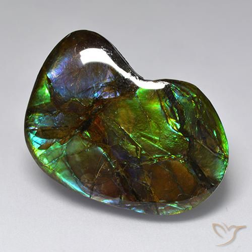 23.10ct طبيعي متعدد الألوان أموليت, فانسى, غير شفاف