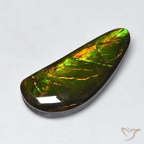 10.60ct طبيعي متعدد الألوان أموليت, فانسى, غير شفاف