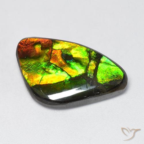 11.50ct طبيعي متعدد الألوان أموليت, فانسى, غير شفاف