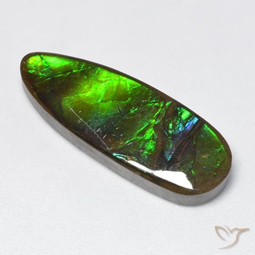 12.78ct طبيعي متعدد الألوان أموليت, فانسى, غير شفاف
