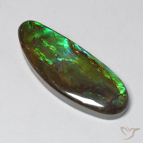 18.94ct طبيعي متعدد الألوان أموليت, فانسى, غير شفاف