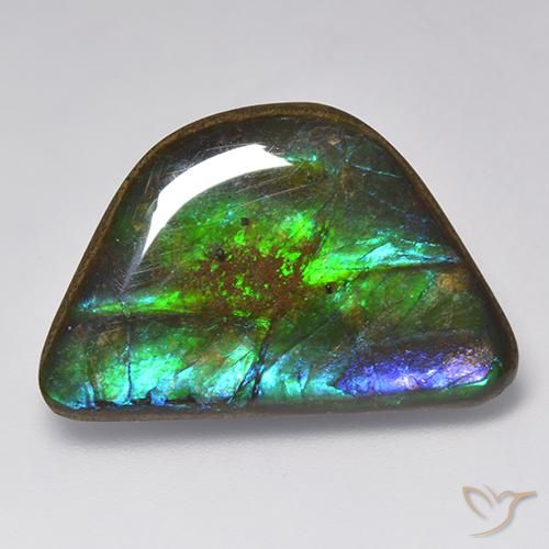 15.86ct طبيعي متعدد الألوان أموليت, فانسى, غير شفاف