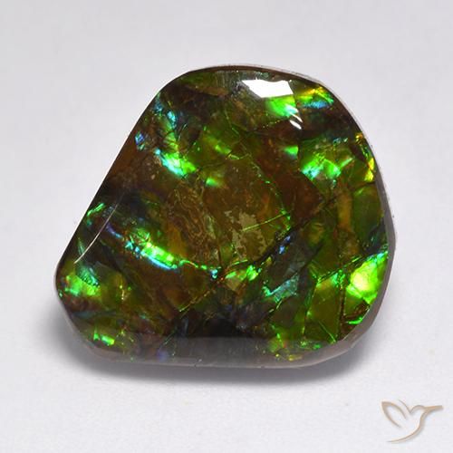 15.50ct طبيعي متعدد الألوان أموليت, فانسى, غير شفاف