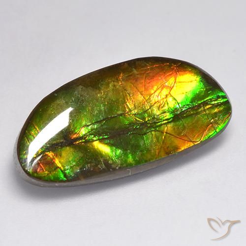 11.62ct طبيعي متعدد الألوان أموليت, فانسى, غير شفاف