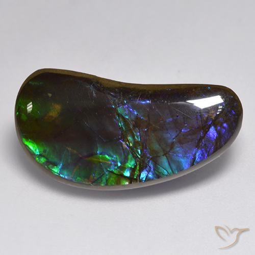 14.55ct طبيعي متعدد الألوان أموليت, فانسى, غير شفاف