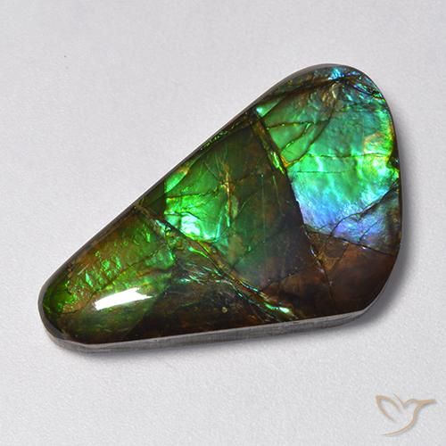 13.85ct طبيعي متعدد الألوان أموليت, فانسى, غير شفاف