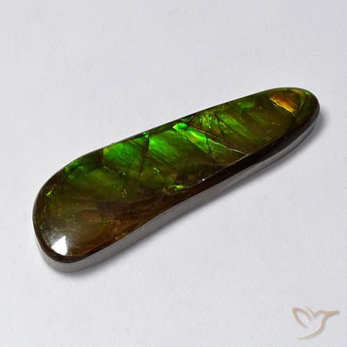 14.88ct طبيعي متعدد الألوان أموليت, فانسى, غير شفاف