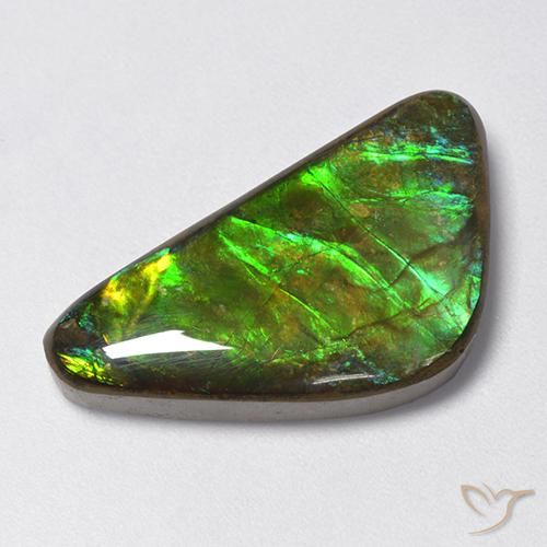 13.28ct طبيعي متعدد الألوان أموليت, فانسى, غير شفاف
