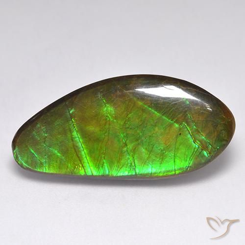 15.77ct طبيعي متعدد الألوان أموليت, فانسى, غير شفاف