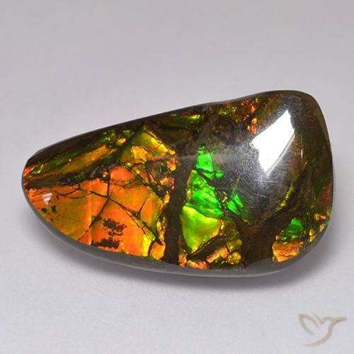 13.48ct طبيعي متعدد الألوان أموليت, فانسى, غير شفاف