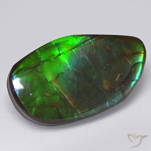 13.66ct طبيعي متعدد الألوان أموليت, فانسى, غير شفاف