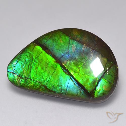 15.82ct طبيعي متعدد الألوان أموليت, فانسى, غير شفاف