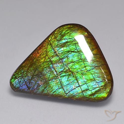 19.82ct طبيعي متعدد الألوان أموليت, فانسى, غير شفاف