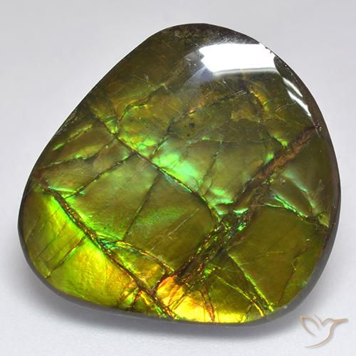 18.81ct طبيعي متعدد الألوان أموليت, فانسى, غير شفاف