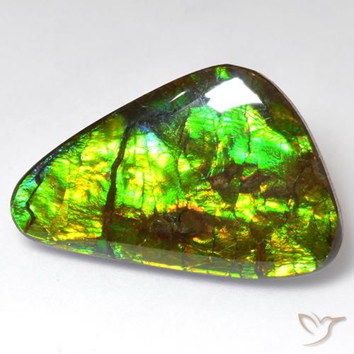 18.51ct طبيعي متعدد الألوان أموليت, فانسى, غير شفاف