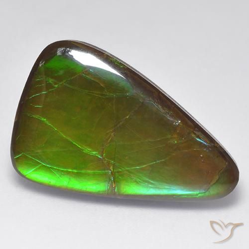 16.16ct طبيعي متعدد الألوان أموليت, فانسى, غير شفاف