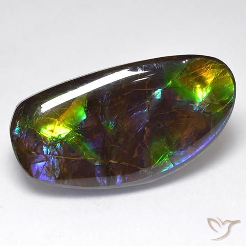 16.71ct طبيعي متعدد الألوان أموليت, فانسى, غير شفاف