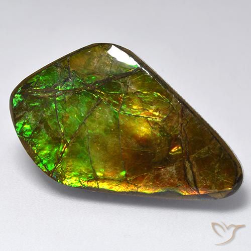 19.12ct طبيعي متعدد الألوان أموليت, فانسى, غير شفاف