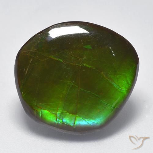 10.26ct طبيعي متعدد الألوان أموليت, فانسى, غير شفاف