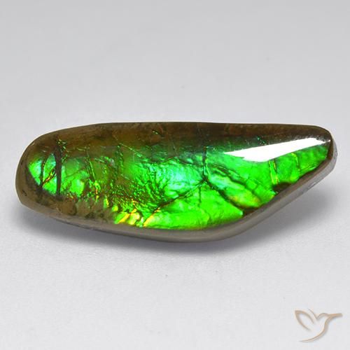 9.60ct طبيعي متعدد الألوان أموليت, فانسى, غير شفاف