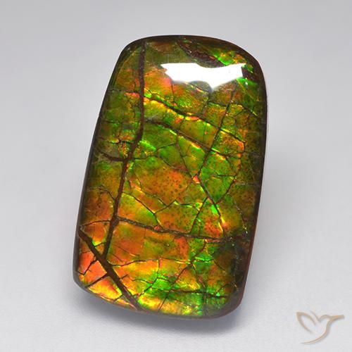15.22ct طبيعي متعدد الألوان أموليت, فانسى, غير شفاف