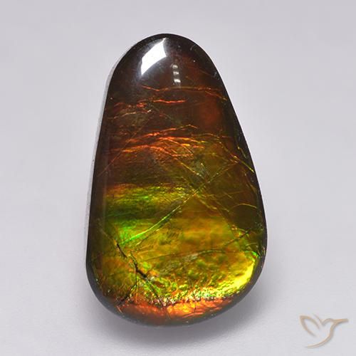 12.85ct طبيعي متعدد الألوان أموليت, فانسى, غير شفاف