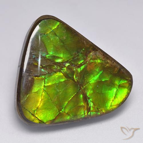 17.90ct طبيعي متعدد الألوان أموليت, فانسى, غير شفاف