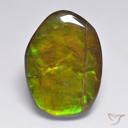 20.63ct طبيعي متعدد الألوان أموليت, فانسى, غير شفاف