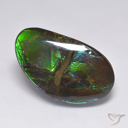 18.50ct طبيعي متعدد الألوان أموليت, فانسى, غير شفاف