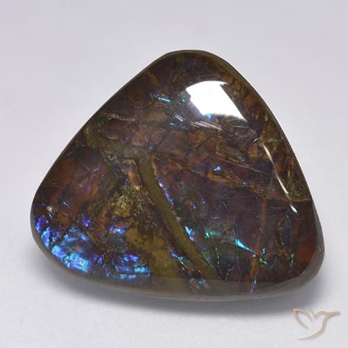 14.06ct طبيعي متعدد الألوان أموليت, مثلثى, غير شفاف