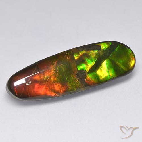 13.63ct طبيعي متعدد الألوان أموليت, فانسى, غير شفاف