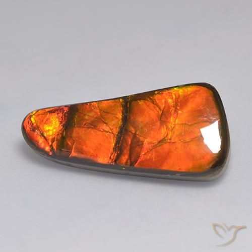 11.58ct طبيعي متعدد الألوان أموليت, فانسى, غير شفاف