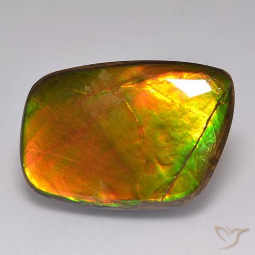 21.59ct طبيعي متعدد الألوان أموليت, فانسى, غير شفاف