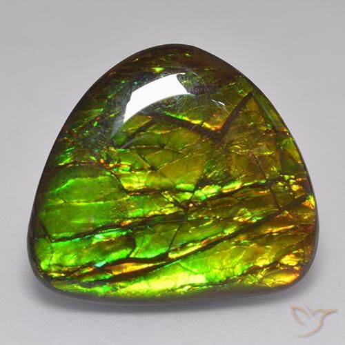 20.62ct طبيعي متعدد الألوان أموليت, فانسى, غير شفاف