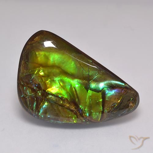 19.60ct طبيعي متعدد الألوان أموليت, فانسى, غير شفاف