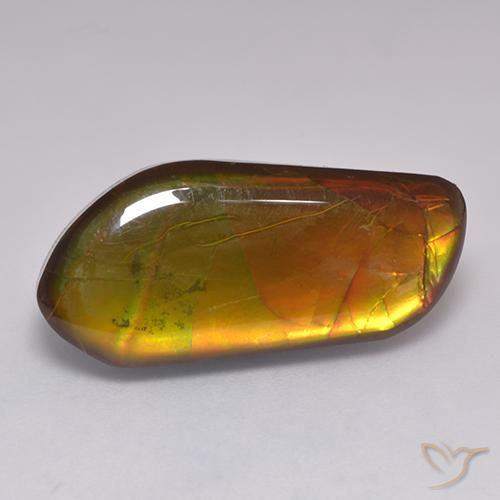 13.43ct طبيعي متعدد الألوان أموليت, فانسى, غير شفاف