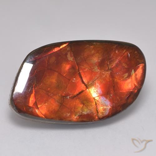 20.30ct طبيعي متعدد الألوان أموليت, فانسى, غير شفاف